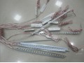 側面發(fā)光爆閃燈 (3)