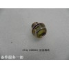 471Q-1009003_放油螺堵
