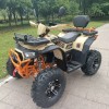 beach vehicle 1