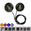 摩托車改裝LED轉(zhuǎn)向燈反光片鬼火電動(dòng)車12V車牌燈彩燈爆閃燈